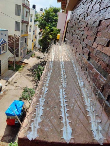 Anti Bird Spike Installation by DSK